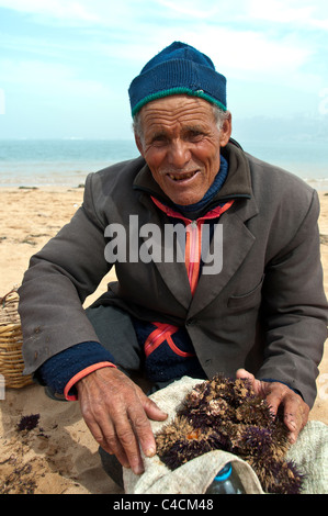 Lächelnde Strand Verkäufer bietet Seeigel, Oualidia, Marokko, mit Lagune Meer im Hintergrund. Alten marokkanischen Mann Fischer. Stockfoto