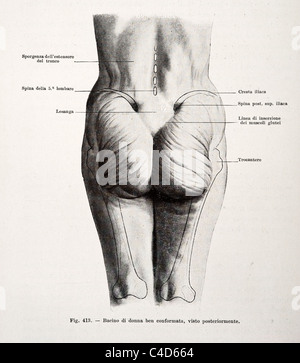 Trattato Completo Di Ostetricia von Ernesto Bumm copyright 1905 Stockfoto