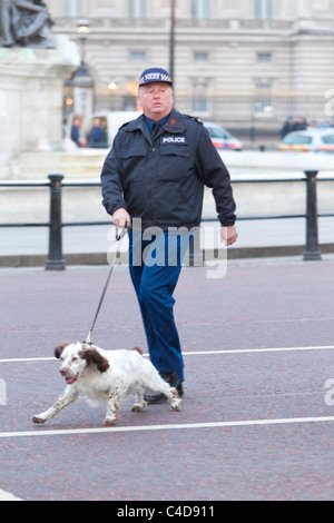 Bombe Spürhunde in den frühen Morgenstunden vor der königlichen Hochzeit von Prinz William und Kate Middleton, (29. April 2011), London Stockfoto