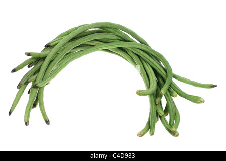 Schlange-Bohnen Stockfoto