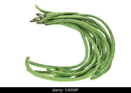 Schlange-Bohnen Stockfoto