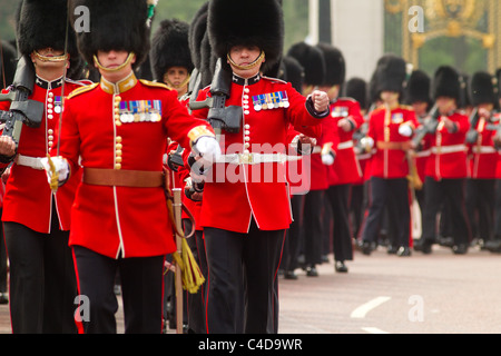 Coldstream Guards kommen auf Linie der Route für die königliche Hochzeit von Prinz William und Kate Middleton, 29. April 2011, London Stockfoto