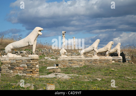 Terrasse der Löwen auf der griechischen Insel Delos. Stockfoto