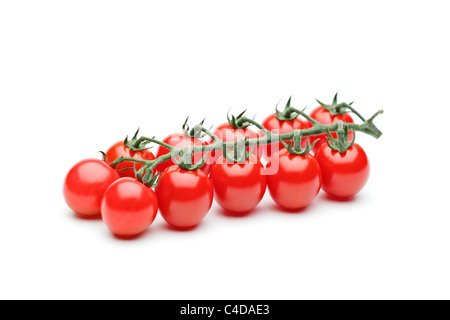 Nahaufnahme der frische reife Kirschtomaten Stockfoto