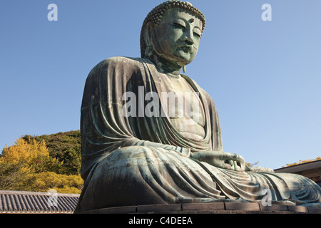 Daibutsu (großer Buddha) Statue bei Kotoku-in Tempel, Kamakura, Kanagawa, Japan. Stockfoto