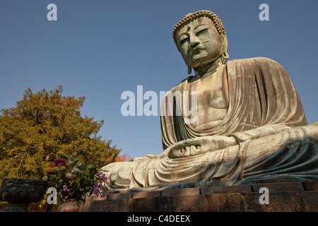 Daibutsu (großer Buddha) Statue bei Kotoku-in Tempel, Kamakura, Kanagawa, Japan. Stockfoto