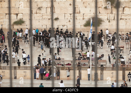 Jüdische Männer beten an der Klagemauer, Jerusalem, Israel. Stockfoto