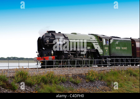 Steam locomotive 60163 Tornado schleppen die Torbay Express übergibt Cockwood Hafen South Devon UK Stockfoto