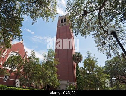 Der Turm auf dem Campus der University of Florida Gainesville Florida Stockfoto