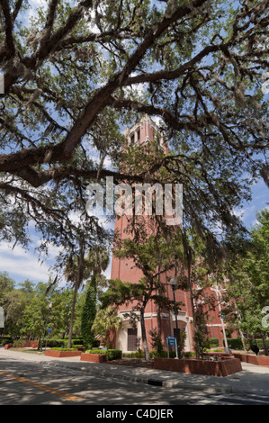 Der Turm auf dem Campus der University of Florida Gainesville Florida Stockfoto