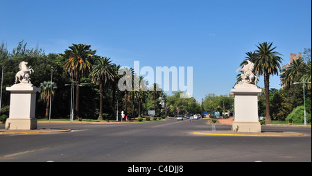 Blauer Himmel Blick Palmen und zwei Marmor Pferde auf hohen Sockeln, Avenida Libertador General San Martin Park, Mendoza, Argentinien Stockfoto