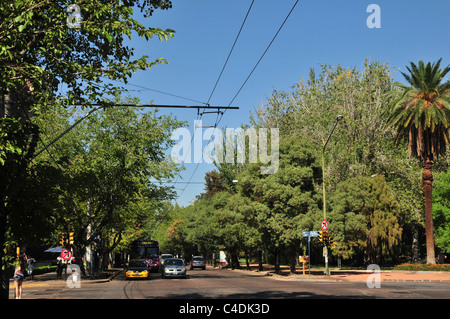 Blauer Himmel, grüne Bäume, Avenue Wagen ansehen und Trolley-Bus am Scheideweg (Boulogne Sur Mer Libertador Avenue), Mendoza, Argentinien Stockfoto