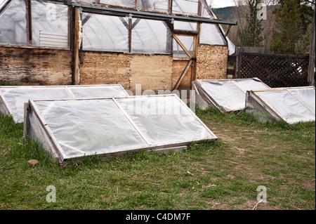 Tagsüber cool sind außen heißen Kleinkisten geschlossen, um die sun'swarmth auf dem Bauernhof Erbsen in Missoula Montana zu behalten. Stockfoto