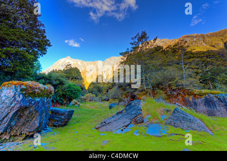 Berge im Hintergrund eine lebendige moosigen tarn Stockfoto