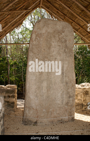 Stela 1 in der Macanxoc Gruppe auf den Ruinen von Cobá, Quintana Roo, Mexiko. Stockfoto