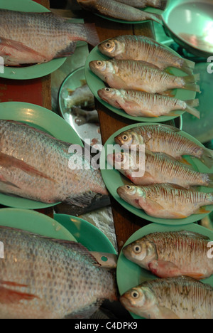 Fischmarkt Thanon Soi Sukhumvit Bangkok Thailand Stockfoto