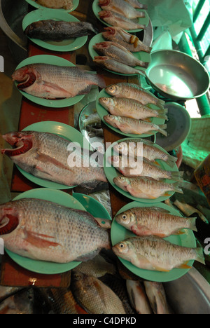 Fischmarkt Thanon Soi Sukhumvit Bangkok Thailand Stockfoto