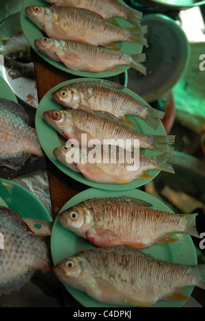 Fischmarkt Thanon Soi Sukhumvit Bangkok Thailand Stockfoto