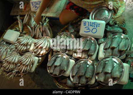 Fisch, Thanon, Soi Sukhumvit, Bangkok, Thailand. Stockfoto