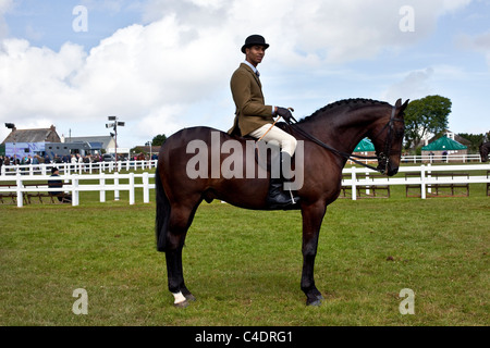 Montiert Pferd & Reiter an den 2011 Royal Cornwall Showground Landschaft Veranstaltungen & Ausstellungen, Wadebridge, Cornwall County, Großbritannien Stockfoto