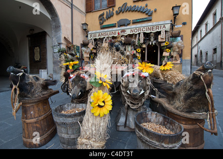 Wildschweine sind in den Wäldern rund um den ummauerten Stadt Norcia, Italien und Geschäfte Lager Fleisch und Produkte aus Wildschwein gejagt. Stockfoto