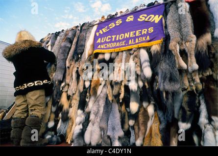 Hunderte von Fuchs, Nerz, Biber und andere tierische Felle werden während der jährlichen Fell Rendezvous-Winterfestival in Anchorage, Alaska, USA versteigert. Stockfoto