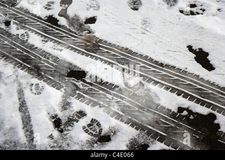 Drucke auf Schnee Stockfoto