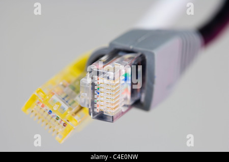 Zwei RJ-45 Ethernet Stecker auf weißem Hintergrund Stockfoto