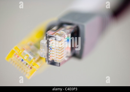 Zwei RJ-45 Ethernet Stecker auf weißem Hintergrund Stockfoto
