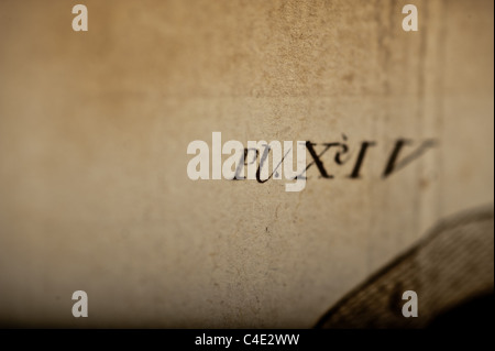 Antike medizinische Illustration der Becken-Knochen Stockfoto