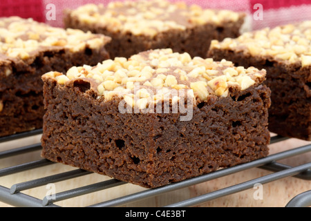 frische herrlich feucht Brownies mit einem tief fudgy Schokoladenaroma Stockfoto