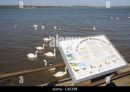 Mistley Mündung in Essex Stockfoto