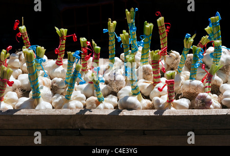 Frische Sträuße von Knoblauch auf Flohmarkt Stockfoto