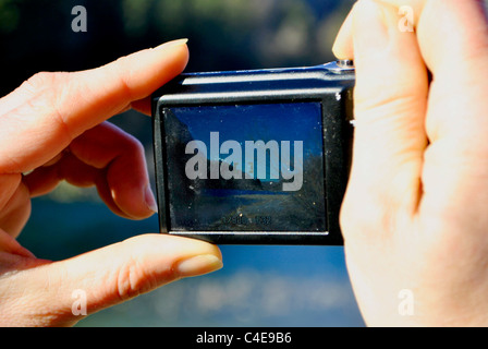 Hände mit einer Digitalkamera Stockfoto