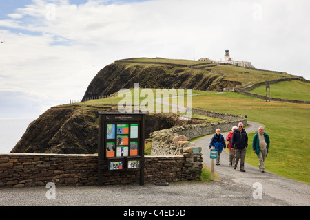 Besucher RSPB Natur reserve für Seevögel Zucht auf Klippen mit Leuchtturm bei Sumburgh Head, Shetland Islands, Schottland, UK Stockfoto