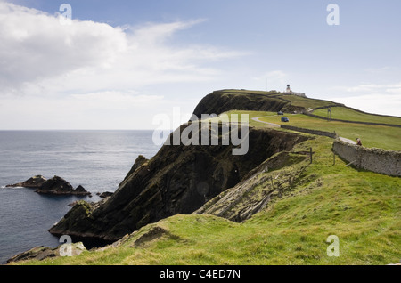 Blick auf das RSPB-Naturreservat für Seevögel, die an Meeresklippen am südlichen Punkt brüten. Sumburgh Head, Shetland Islands, Schottland, Großbritannien Stockfoto