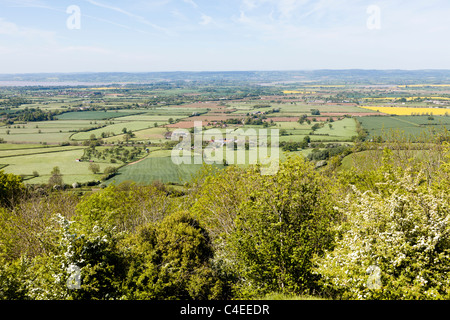 Der Blick über den Severn Vale, Forest of Dean aus der Cotswold Weg auf Haresfield Hügel, Gloucestershire, England UK Stockfoto