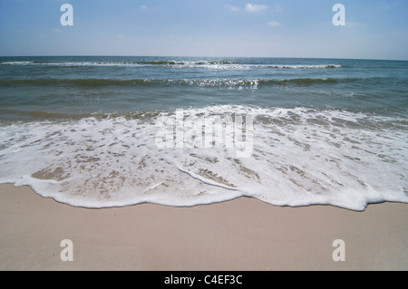 Golf-Strände Floridas Panhandle im St. Joseph Peninsula State Park. Stockfoto