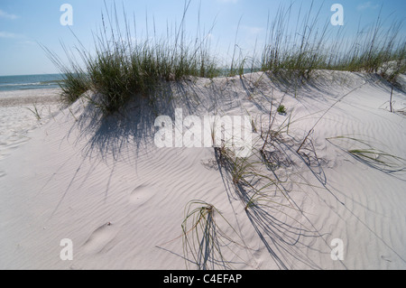 Golf-Strände Floridas Panhandle im St. Joseph Peninsula State Park. Stockfoto