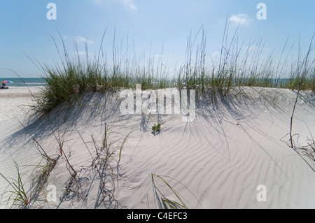 Golf-Strände Floridas Panhandle im St. Joseph Peninsula State Park. Stockfoto