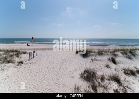 Golf-Strände Floridas Panhandle im St. Joseph Peninsula State Park. Stockfoto