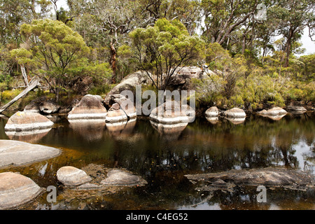 Steinerne Granitfelsen und den Franklin River, Walpole Südwest Australien Stockfoto