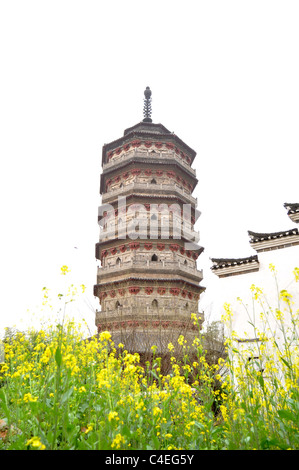 Alten Pagode mit Raps blühen in Anhui, China Stockfoto