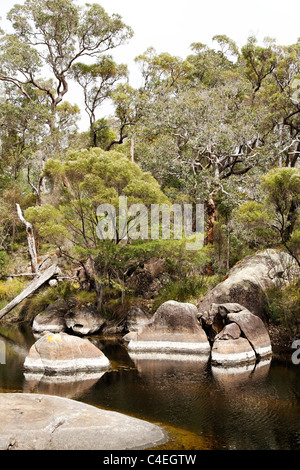 Steinerne Granitfelsen und den Franklin River, Walpole Südwest Australien Stockfoto