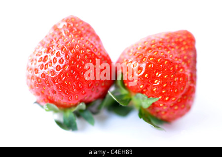 Erdbeer-Früchte Stockfoto