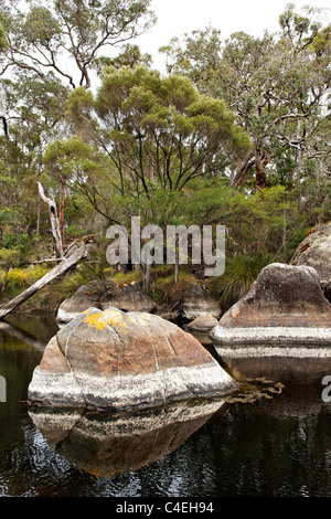 Steinerne Granitfelsen und den Franklin River, Walpole Südwest Australien Stockfoto