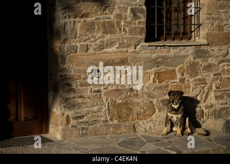 Ein Hund ruht in Riego de Ambros, ein kleines Dorf in den französischen Weg El Bierzo, Santiago De Compostela, Spanien Stockfoto