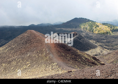 Bei Silvestri Craters (Crateri Silvestri) eine Mondlandschaft Lavaströme Kegeln und Kratern in der 1892 Ausbruch erstellt Stockfoto