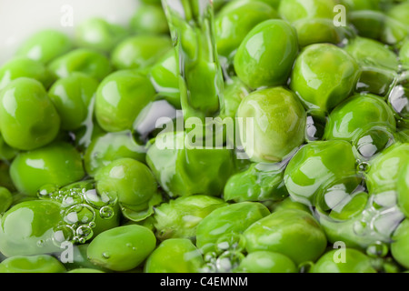 Frische grüne Erbsen mit Wasser gewaschen Stockfoto