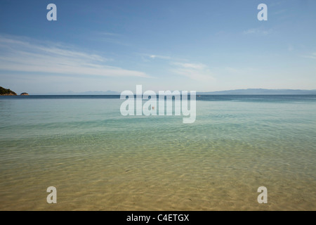 Koukounaries Strand auf Skiathos Insel der Nördlichen Sporaden, Griechenland Stockfoto